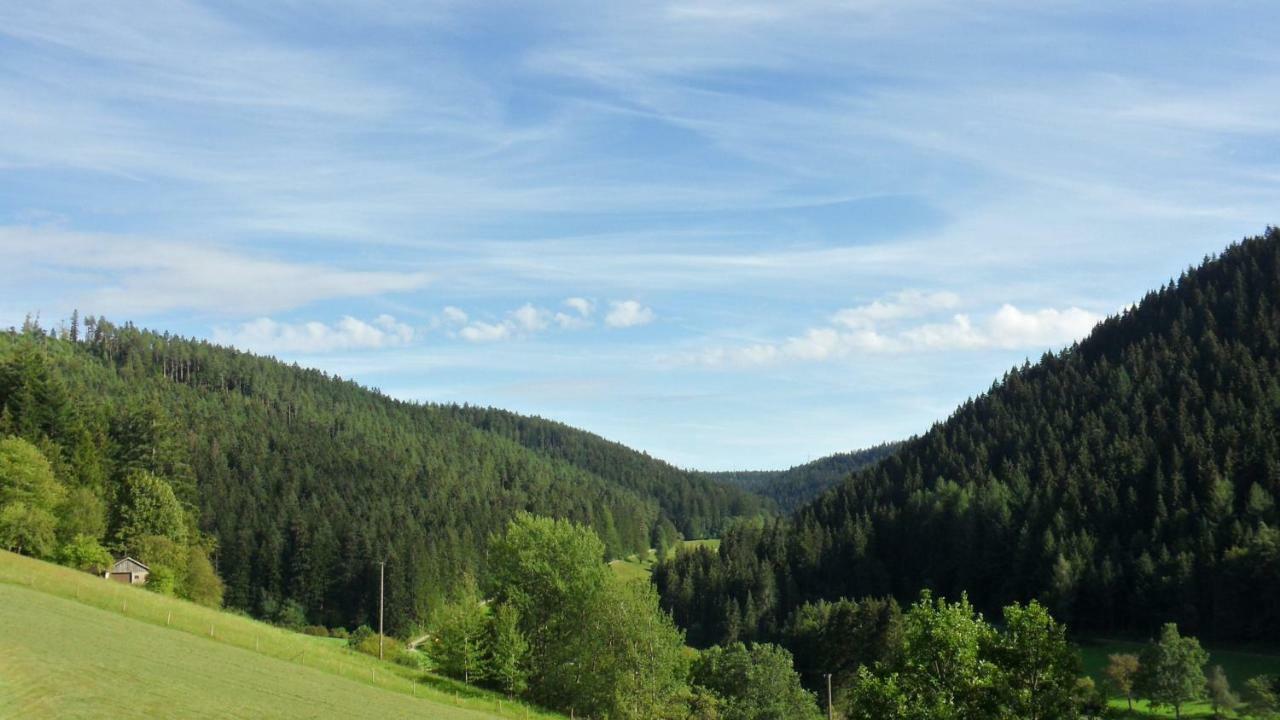 Ferienwohnung Kaufmann Baiersbronn Bagian luar foto
